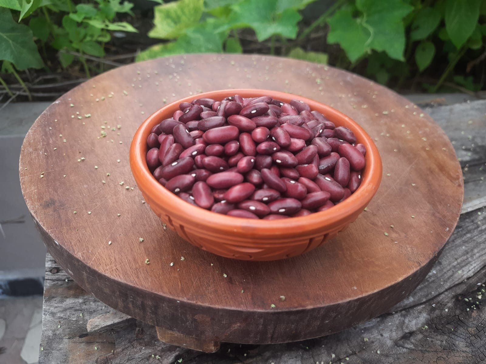 রাজমা (Red Kidney Beans)